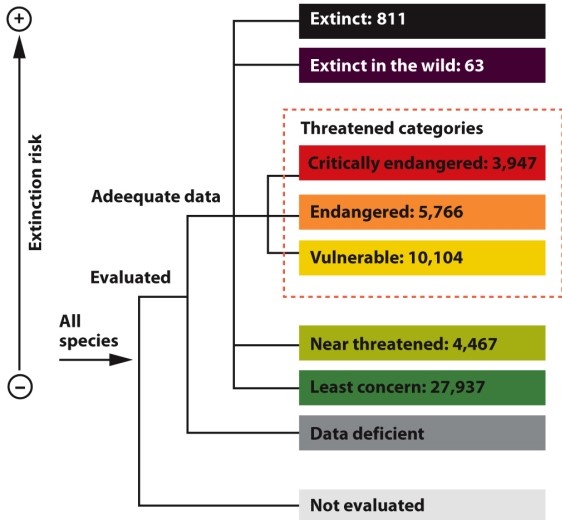 Infographic 13.2. Refer to Infographic 13.2. Why might the number of species counted in the Red List of Threatened Species be underestimated in every category?