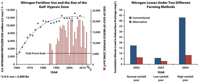 Infographic 15.4, -In Infographic 15.4, the relationship between the amount of nitrogen fertilizer used and the size of the Gulf hypoxic zone is shown. In 2000 there is a decrease in the size of the hypoxic zone. What caused this decrease, and why would it have an effect on the size of the hypoxic zone?