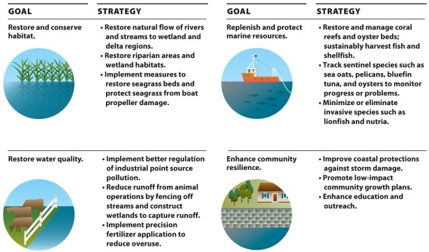 Infographic 15.7. -Choose three strategies from the Gulf of Mexico Regional Ecosystem Restoration plan in Infographic 15.7. Explain what the goals of those strategies are and, if implemented, how the strategies will help reach those goals.
