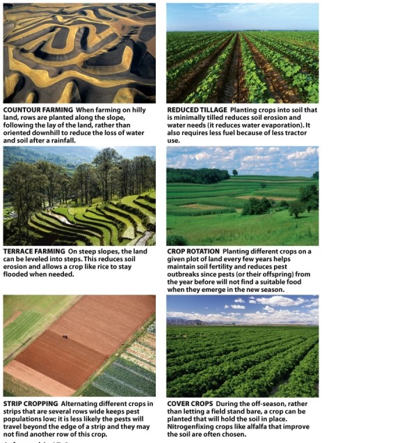 Infographic 17.6. -Refer to Infographic 17.6. Which methods increase soil fertility, and why?