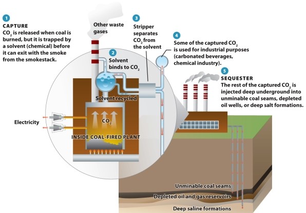 Infographic 18.7. Refer to Infographic 18.7. Explain how carbon dioxide can be captured.