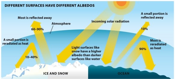 Infographic 21.4. Refer to Infographic 21.4. Explain why the Arctic is particularly vulnerable to climate change.
