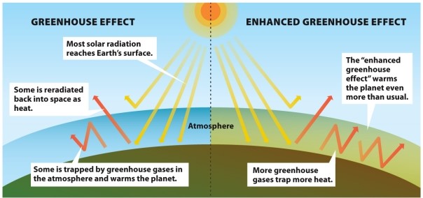Infographic 21.3. Refer to Infographic 21.3. Describe how the greenhouse effect works. What is different with the enhanced greenhouse effect, and what are the main causes of it?