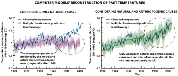 Refer to Infographic 21.8. What is the scientific consensus regarding the cause of the recently observed changes in global climate?