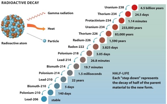 <strong>Infographic 22.2. Refer to Infographic 22.2. Which of the following isotopes would be the safest to handle in the shortest period of time? (Radioactive isotopes are considered safe to handle after 10 half-lives.)</strong> A) uranium-234 B) uranium-238 C) thorium-234 D) thorium-226 E) protactinium-234