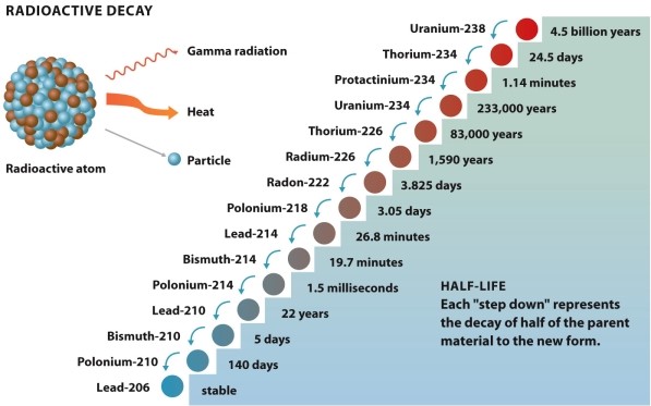 <strong>Infographic 22.2. Refer to Infographic 22.2. Which of the following isotopes would you expect to find in the greatest amount throughout the universe?</strong> A) uranium-238 B) thorium-234 C) protactinium-234 D) uranium-234 E) thorium-226