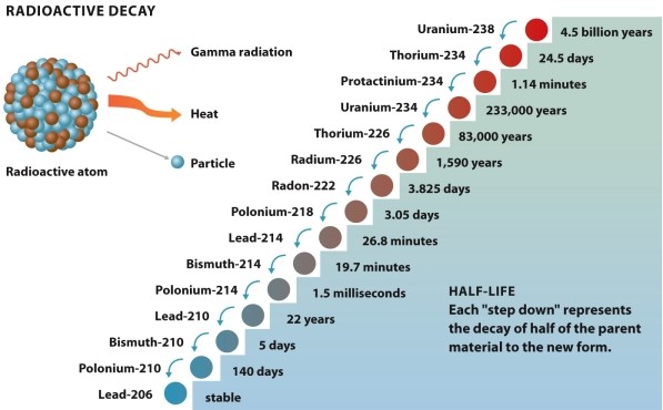 <strong>Infographic 22.2. Refer to Infographic 22.2. Which of the following choices is a daughter atom of Thorium-226?</strong> A) Thorium-234 B) Radium-226 C) Uranium-234 D) Protactinium-234 E) none of these answers