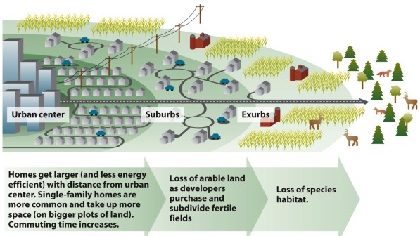 Infographic 25.4. -Refer to Infographic 25.4. What are some of the unwanted consequences of suburban sprawl?