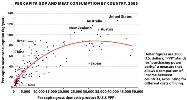 <strong>Infographic 30.2   According to Infographic 30.2, in 2005 China's annual per capita meat consumption was:</strong> A) 5000 kilograms/year. B) 125 kilograms/year. C) 60 kilograms/year. D) 20 kilograms/year. E) The information cannot be determined from this infographic. <div style=padding-top: 35px> 