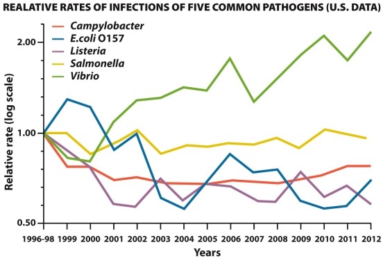 Infographic 30.5 -According to Infographic 30.5, the incidence of E. coli foodborne illness in the United States has trended toward the set goal of no more than 0.6 cases per 100,000. What are some preharvest and postharvest strategies used in the beef industry to reduce E. coli contamination?