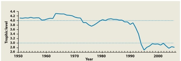 <strong>Infographic 31.3 Refer to the graph in Infographic 31.3. What does the figure show?</strong> A) fish catch in the 1960s containing mostly lower-trophic-level fish, suggesting that higher-trophic-level fish populations had been depleted B) the size of fish catch that could be harvested in any given year without decreasing the yield in future years C) the decrease in the size of the bycatch of different trophic levels over time as fishing technology improved D) a plot of the Marine Trophic Index from 1950 to 2006, which is a measure of the average trophic level of fish taken in a given year and which is an indicator of the status of a marine ecosystem E) the annual size of the cod harvest from 1950 to 2006