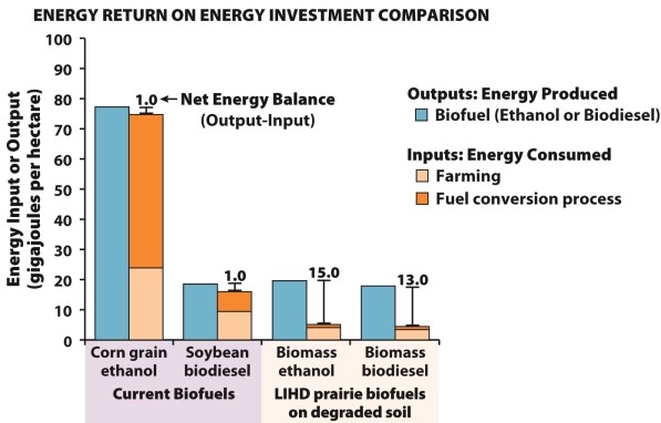 <strong>Infographic 32.3. Refer to Infographic 32.3. Use the data from the energy return on energy investment comparison graph to determine which crop offers the highest net energy return (output - input).</strong> A) corn grain ethanol B) soybean biodiesel C) biomass combustion D) biomass ethanol E) biomass biodiesel