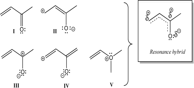 <strong>Which individual structures below could be contributing resonance structures to the given hybrid structure? </strong> A)All are contributing structures. B)All but V are contributing structures. C)I, II, and III are contributing structures. D)I, III, and IV are contributing structures. E)Only I and III are contributing structures.