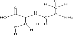 Consider a peptide bond formed from the amino acids alanine and serine.Redraw the dipeptide from the figure below using a line structure.Once this structure is drawn,place a box around the amide bond.Circle the parts of the dipeptide that originate from serine and alanine.