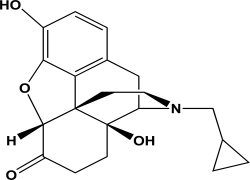 <strong>Naltrexone is an antagonist at the mu opioid receptor.What is the hybridization state and geometry of the nitrogen atom in naltrexone? </strong> A)sp hybridized and linear geometry B)sp<sup>2</sup> hybridized and trigonal pyramidal C)sp<sup>3</sup> hybridized and trigonal pyramidal D)sp<sup>3</sup> hybridized and trigonal planar E)sp<sup>3</sup> hybridized and bent