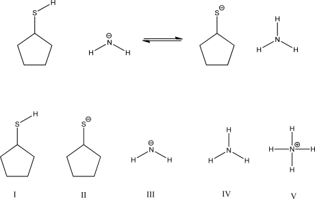 <strong>Which is the conjugate base for cyclopentanethiol? </strong> A)I B)II C)III D)IV E)V