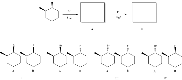 The following compound can undergo two successive S<sub>N</sub>2 reactions.What are the products of these reactions?