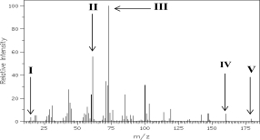 Which of the following is the base peak?  