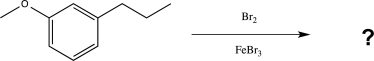 Predict the two major products of the reaction below.  <div style=padding-top: 35px> 
