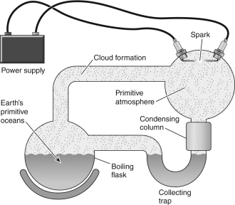 Describe the experiment depicted below. What was the goal of the experiment? Was the experiment a success?