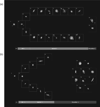 <strong>The figure shown below shows two different versions of the Hubble tuning fork diagram. One was made using what galaxies are like now, while the other was made using what galaxies were like 6 billion years ago. Which one was made using observations of what galaxies were like 6 billion years ago?</strong> A) Version A is from 6 billion years ago because the galaxy mergers that have occurred since that time created more peculiar galaxies. B) Version A is from 6 billion years ago because there were more galaxies in the past than there are today. C) Version B is from 6 billion years ago because it has a higher percentage of elliptical galaxies. D) Version B is from 6 billion years ago because the higher merger rate in the past leads to a larger percentage of peculiar galaxies. E) There is no way to know since galaxies don't change much as they get older.