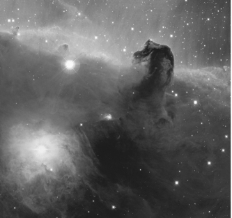 <strong>The red emission in the photo below is due to: </strong> A) carbon monoxide (CO) B) warm, neutral hydrogen C) molecular hydrogen (H<sub>2</sub>) D) ionized hydrogen (H II region) E) dust