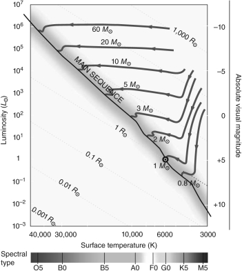 Figure 1 -Use Figure 1 to complete the following statement. At the start of the evolution of a protostar, the radius of a 60 M <sub> \odot </sub> protostar is roughly _________ a 1 M <sub> \odot </sub> main-sequence star.