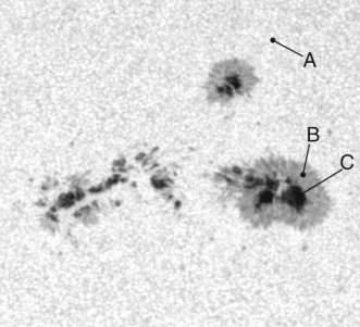 The image below taken at visible wavelengths shows a section of the Sun with sunspots visible. Which of the labeled regions is the lowest temperature?