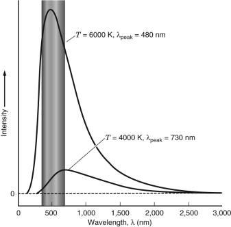 The blackbody spectra of a star with a temperature of 6000 K and a star with a temperature of 4000 K are shown below. An astronomer uses a telescope to observe each of these two stars in both the blue and red filters. The blue filter is centered at 450 nm, while the red filter is centered at 660 nm. For each of the two stars, state through which filter that star will be the brightest. Explain your answer.