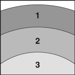 <strong>The figure below shows a drawing of some of the layers inside the atmosphere of Jupiter. The layer at the top of the figure is closest to the outer surface of Jupiter, while the bottom layer is closer to the core. Which of these is a possible list of what the layers contain, starting with layer 1 and moving to layer 3?</strong> A) gas, solid, liquid B) gas, smooth transition from gas to solid, solid C) gas, distinct line between gas and solid, solid D) gas, smooth transition from gas to liquid, liquid E) gas, distinct line between gas and liquid, liquid