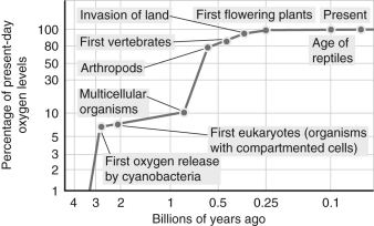 <strong>According to the figure shown below, approximately how many years ago did oxygen finally get to half its current abundance in Earth's atmosphere? </strong> A) 3 billion years ago B) 1 billion years ago C) 0.6 billion years ago D) 0.25 billion years ago E) 0.1 billion years ago