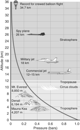 <strong>According to the figure shown below, as you increase in altitude in the Earth's lower atmosphere, the atmospheric pressure _________ dramatically at a(n) _________ rate. </strong> A) increases; increasing B) increases; decreasing C) decreases; decreasing D) decreases; increasing E) decreases; constant