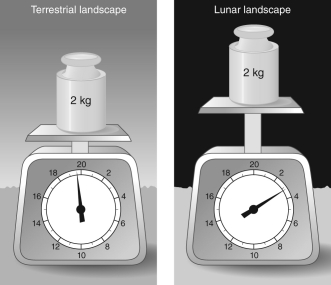 <strong>According to the scales in the figure, about how many times stronger is gravity on Earth than on the Moon? </strong> A) 20 B) 3 C) 2 D) 6 E) They are the same.