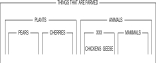 Consider the following organizational scheme.The species are not equally abstract at one level of organization.But the problem could be fixed by inserting which of the following concepts?