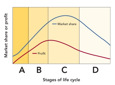 FIGURE 14-11 -According to Figure 14-11 above, segment D represents which stage in the retail life cycle?