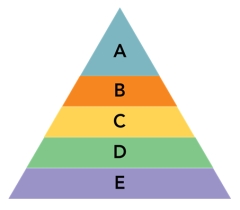 FIGURE 5-6 -According to Figure 5-6 above, the need for food, water, shelter, and oxygen would be found in level