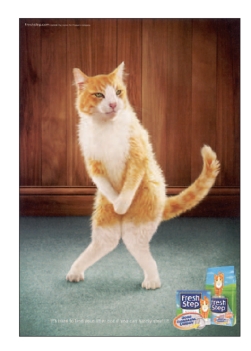 FIGURE 5-8 -When Clorox uses the Good Housekeeping Seal for its Fresh Step cat litter, in Figure 5-8 above, their strategy is to reduce the consumer's __________ and encourage purchases.