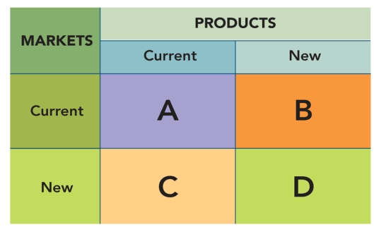FIGURE 2-7 -Box B in Figure 2-7 above represents the marketing strategy of _________.