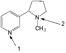 Nicotine, present in tobacco, has the following structure. Which nitrogen is more basic and explain your choice.