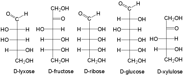 <strong>Which of the following is a ketohexose? </strong> A) D-lyxose B) D-fructose C) D-ribose D) D-glucose E) D-xylulose
