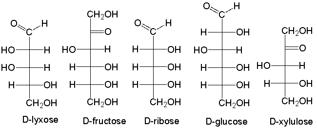 <strong>Which of the following is an aldohexose? </strong> A) D-lyxose B) D-fructose C) D-ribose D) D-glucose E) D-xylulose