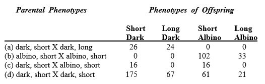 Among dogs,short hair is dominant to long hair and dark coat color is dominant to white (albino)coat color.Assume that these two coat traits are caused by independently segregating gene pairs.For each of the crosses given below,write the most probable genotype (or genotypes if more than one answer is possible)for the parents.It is important that you select a realistic symbol set and define each symbol below.   Assume that for cross (d),you were interested in determining whether fur color follows a 3:1 ratio.Set up (but do not complete the calculations)a Chi-square test for these data [fur color in cross (d)].<div style=padding-top: 35px> 