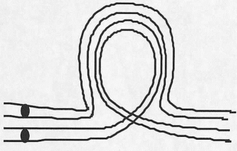 The pairing of homologous chromosomes of an inversion heterokaryotype is typically one of an outside loop filled by an inside loop.