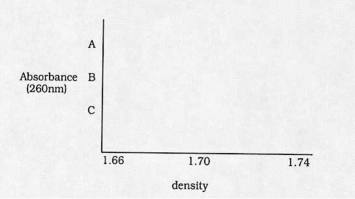Assume that you grew a culture of E.coli for many generations in medium containing ¹?N (from the ammonium ion),a heavy isotope of nitrogen.You extract DNA from a portion of the culture and determine its density to be 1.723 gm/cm³ (call this sampleA).You then wash the remaining E.coli cells and grow them for one generation in ¹?N,extract the DNA from a portion of the culture,and determine its density to be 1.715 gm/cm³ (call this sampleB).You let the culture grow for one more generation in ¹?N and extract the DNA (call this sampleC)Each sample of DNA (A,B,and C)is then heated to completely denature the double-stranded structures,cooled quickly (to keep the strands separate),and subjected to ultracentrifugation.Present the centrifugation profiles for heat-denatured DNA (samples A,B,andC)that you would expect.Use the graph below.(Note: Although not the case,assume that single-stranded DNA has the same density as double-stranded DNA.)