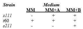 Below is a set of experimental results relating the growth (+)of Neurospora on several media (MM = minimal medium).Based on the information provided,present the biochemical pathway and the locations of the metabolic blocks.