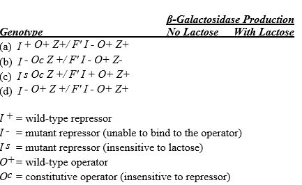 The table below lists several genotypes associated with the lac operon in E.coli.For each,indicate with a + or a - whether functional ?-galactosidase would be expected to be produced at induced levels.