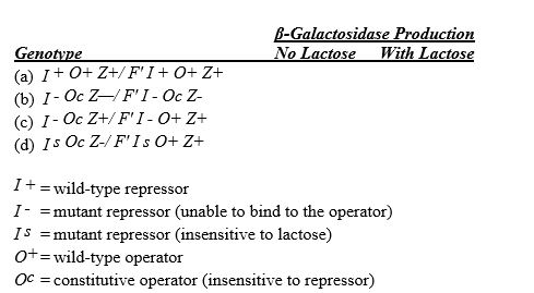 The table below lists several genotypes associated with the lac operon in E.coli.For each,indicate with a + or a - whether ?-galactosidase would be expected to be produced at induced levels.