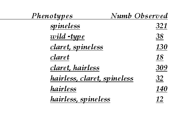 In the fruit fly, Drosophila melanogaster, a spineless (no wing bristles) female fly is mated to a male that is claret (dark eyes) and hairless (no thoracic bristles). Phenotypically wild -type F1 female progeny were mated to fully homozygous (mutant) males, and the following progeny (1000 total) were observed: a() Which gene is in the middle? b() With respect to the three genes mentioned in the problem, what are the genotypes of the homozygous parents used in making the phenotypically wild -type F1 heterozygote? c() What are the map distances for the three genes? A correct formula with the values plugged in for each distance will be sufficient. d() What is the coefficient of coincidence? A correct formula with the values plugged in will be sufficient.