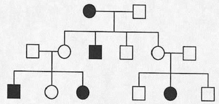 Below is a pedigree of a fairly common human hereditary trait; the boxes represent males and the circles represent females. Filled -in symbols indicate the abnormal phenotype. Given that one gene pair is involved, a() Is the inheritance pattern X -linked or autosomal? b() Give the genotype of each individual in the pedigree. If more than one genotypic possibility exists, present all possible alternatives.