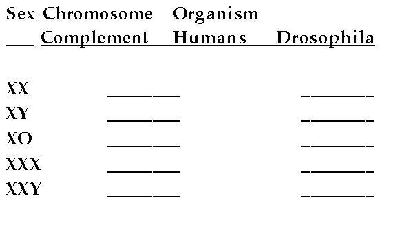 Give the sex of the following organisms assuming that the autosomes are present in the normal number.